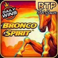 Bronco Spirit