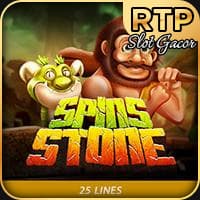 Spin Stone